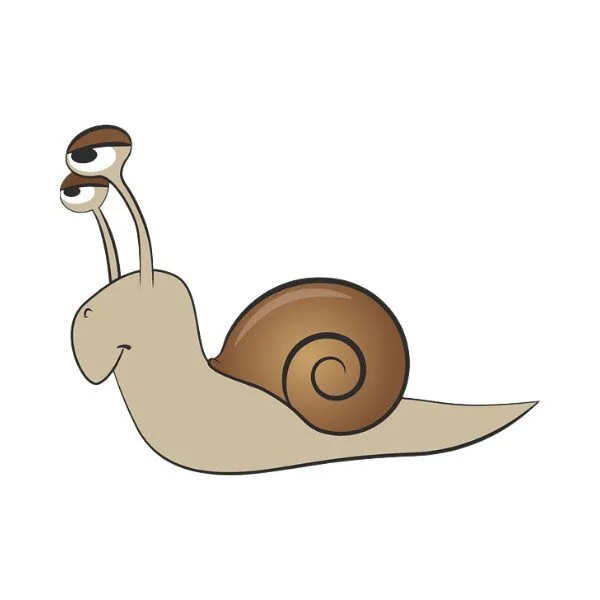 Slakken en je beglazingskit: oorzaak en oplossing blog slakken 1